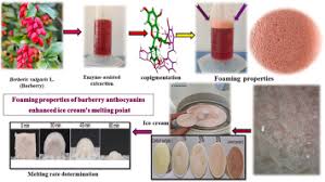 Exploring the potential utilization of copigmented barberry anthocyanins in  ice cream: Focusing
