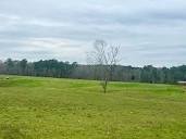 McCall Creek, MS Land for Sale - 16 Properties - LandSearch