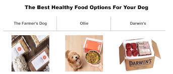 We did not find results for: New Evidence Connects Grain Free Diets With Canine Heart Disease Here S How To Avoid Harmful Dog Foods Insider Envy