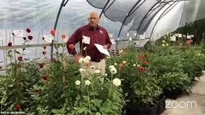 Maybe you would like to learn more about one of these? Ednie Flower Bulbs Home Facebook