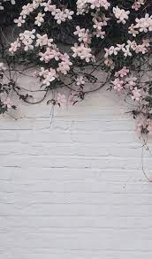 Pink And White Aesthetic Wallpapers Top Free Pink And White Aesthetic Backgrounds Wallpaperaccess 14+ pink aesthetic wallpaper quotes pictures. pink and white aesthetic wallpapers