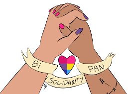 Pansexuality pansexual pride flag rainbow flag pride parade, flag transparent background png clipart. Artstation Queer Community Solidarity Rowan Hampton