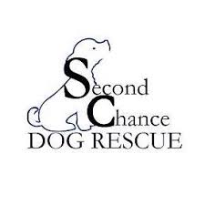 Check spelling or type a new query. Second Chance Dog Rescue Home Facebook