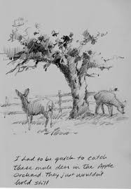 Capitol Reef Sketchbook Landscape Drawings Pencil Sketches Landscape Landscape Pencil Drawings