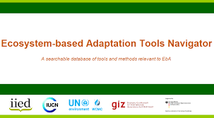 Eba is a staple food eaten in west africa, particularly in the southern parts of nigeria. Eba Tools Navigator In English Spanish And French Adaptation Community