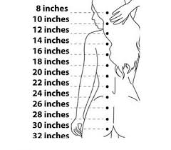 Pin By Shayla On Hairspiration Natural Hair Styles Hair Length Chart Hair Styles