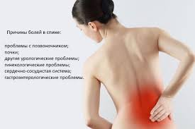 Vrach Po Spine Kotoryj Lechit Spinu Esli Bolit Spina Kakoj Vrach Nuzhen K Kakomu Obrashatsya Doktoru