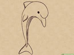 Check spelling or type a new query. How To Draw A Dolphin 14 Steps With Pictures Wikihow