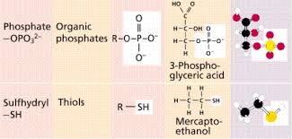 If you look at the lewis structure for ch4 it appears to be a symmetrical molecule. Chemistry Ii Water And Organic Molecules