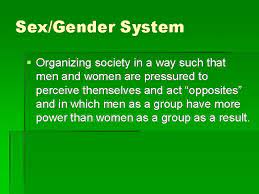 Chapter 2 Gender Identity Please Note These Slides
