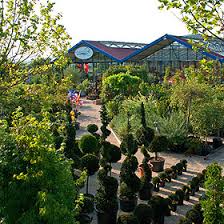 Here are some pictures from recent projects. Baumschule Schweizer Baum Und Garten Filderstadt Baumschulhof 1