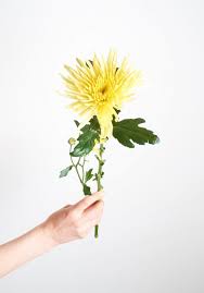 We did not find results for: Best Florists Flower Delivery In Glendale Ca 2021