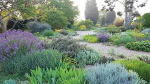 Lessons From Beth Chatto Garden Design Journal Beth Chatto Garden Design Gravel Garden
