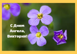 У день ангела вікторії 6 листопада факти ictv підготували найкращі привітання у картинках. Kartinki Dlya Viktoriyi I Nizhni Privitannya Na Den Angela Viktoriyi Glavred