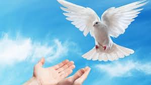 The holy spirit is the 3rd person of the blessed trinity, and the one most active in the world today. Prayer To The Holy Spirit Catholic Prayer To The Holy Spirit