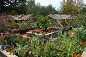 Square foot, container and other small plot garden plans are perfect for growing vegetables. A Beginner S Guide To Growing A Small Vegetable Garden Blue Koala