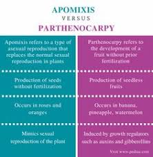 Difference Between Apomixis And Parthenocarpy Comparison Summary Medical Knowledge Fertility Different