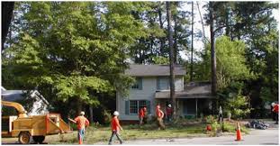 At medical day spa of chapel hill, we adhere to the highest standards of safety and hygiene. Chapel Hill Nc A Plus Tree Crane Services