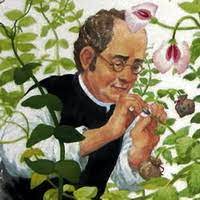 Аббатство томаса в брно , маркграфство моравии. Gregor Mendel Vremya Eshe Pridet