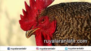 Ruyada Olmus Horoz Gormek Youtube