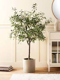 Shop Target For Artificial Flowers Plants You Will Love At Great Low Prices Spend 35 Or Use Your Potted Olive Tree Faux Olive Tree Artificial Plants Decor