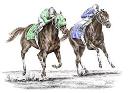 Image result for horse race