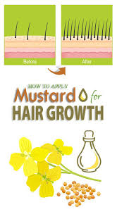 It is also helpful in maintaining hair follicles and scalp since it is rich in natural fatty acids. How To Use Mustard Oil For Hair Growth I Fashion Styles