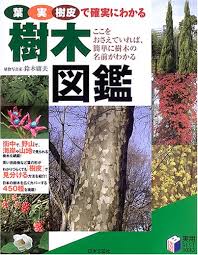 樹木図鑑 葉 実 樹皮で確実にわかる 実用best Books 鈴木 庸夫 本 通販 Amazon