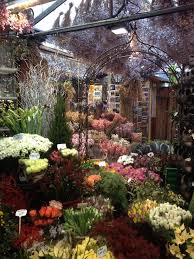 The Bloemenmarkt Otherwise Know As Amsterdam S Floating Flower Market Montreal Botanical Garden Flower Market Floating Flowers