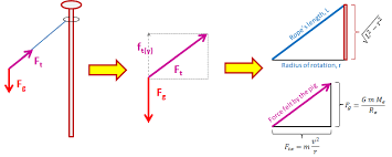 Physics Of A Flying Pig Simple Physics Principle Of Mechanics And Circular Motion Physics Principles Flying Pig