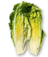 Image result for Lettuce Green 1977 Hussmann