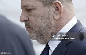 412 Benjamin Weinstein Photos & High Res Pictures