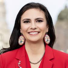 Best Native American Lawyers in America