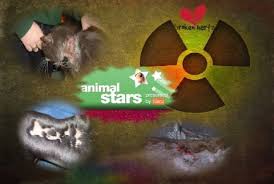 Hartz Poison Sponsoring Animal Stars By Di Sss Animals Art Movie Posters
