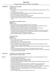 A highly motivated professional striving to be a leader in application and web development, information technology, and computer engineering. Api Developer Resume Samples Velvet Jobs