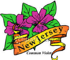 Blooming from april to may, the flowers are three quarter inch across and purple. State Flower Of New Jersey Common Violet Royalty Free Clipart Picture