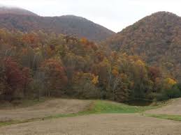 Results for other real estate/recreational property for sale or rent. Virginia Cabin Land For Sale Landflip