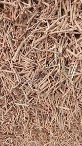 Image result for Rubia cordifolia