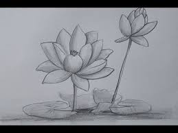 Draw a layer of petals around the seed pod to give it shape, then add stamens between the pod and petals. How To Draw A Lotus Flower With Pencil Sketch Very Easy Youtube