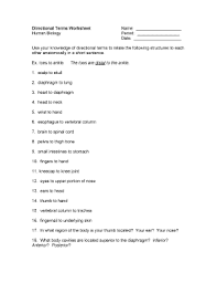 Directional Terms Worksheet Pdf Fill Online Printable Fillable Blank Pdffiller