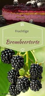 Diese Leckere Brombeertorte Zaubert Wir In Bayern Koch Sepp Schwalber Hier Sehen Sie Wie S Geht Brombeeren Kuchen Rezep Brombeeren Torten Torten Rezepte