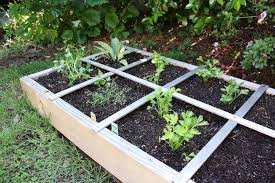 Thanks for raising this question. Companion Planting Chart Guide Insteading