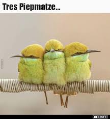 Hier gibt es massenweise lustige bilder aus dem ganzen web und jeden tag kommen viele neue dazu. Fdh9zmyrm6vwhm