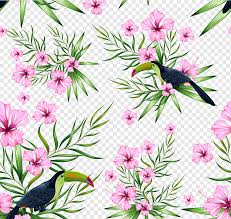 Explore free flower png images & flower transparent images on vhv.rs. Hawaii Flower Pattern Tropic Hawaii Flower Png Pngwing