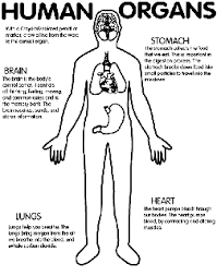 We did not find results for: Human Body Free Coloring Pages Crayola Com