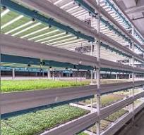 Vertical Hydroponics Flood Tray Ebb and Flow Rolling Bench for Greenhouse