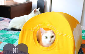 Comment Fabriquer Une Maison Pour Chat Avec Un Ti Shirt Tente Pour Chat Diy Lit Chat Diy Tente Pour Chat