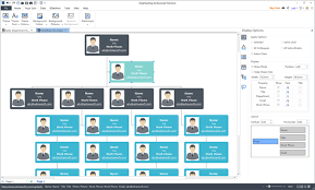 36 Organized Free Organizational Chart Software Mac