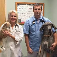 Compare your options and call now. All Pets Animal Hospital Rehabilitation Center Home Facebook