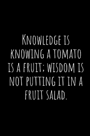 Knowledge Is Knowing A Tomato Is A Fruit Wisdom Is Not Putting It In A Fruit Salad A Wide Ruled Notebook Journal Amazon Com Br